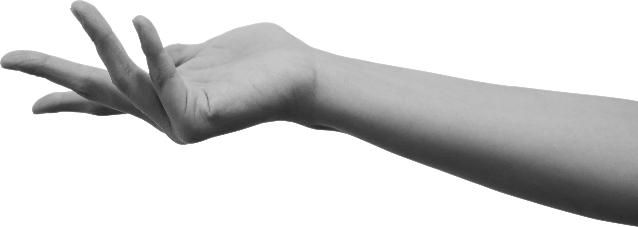 Human Hand Gesture